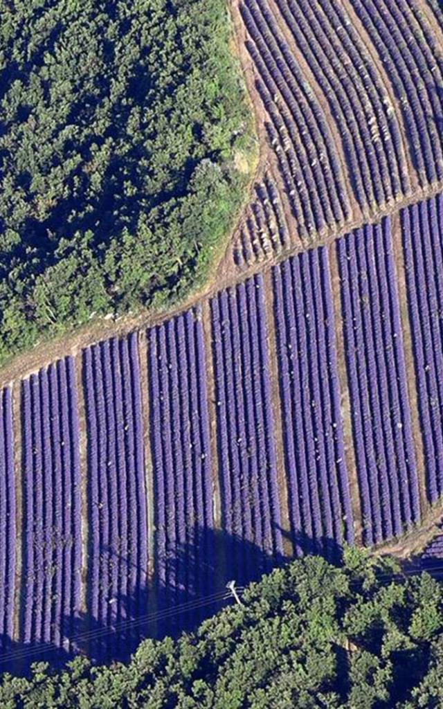 La Provence Vue Du Ciel Francemontgolfieres