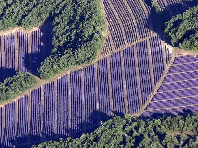 La Provence Vue Du Ciel Francemontgolfieres