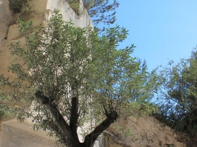 les-baux-de-provence-c-chillio.jpg