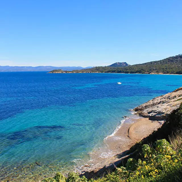 Littoral Mediterranee Porquerolles Cchillio