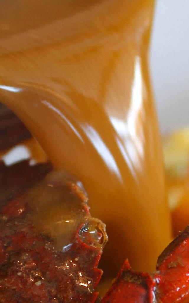 Mars Poissons Lamy 029 1920x780 1