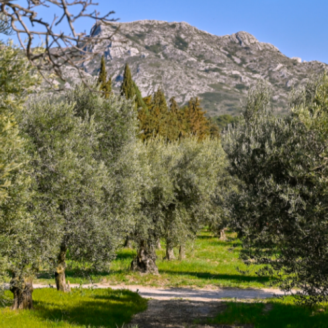 Massif Des Alpilles P Magoni 1