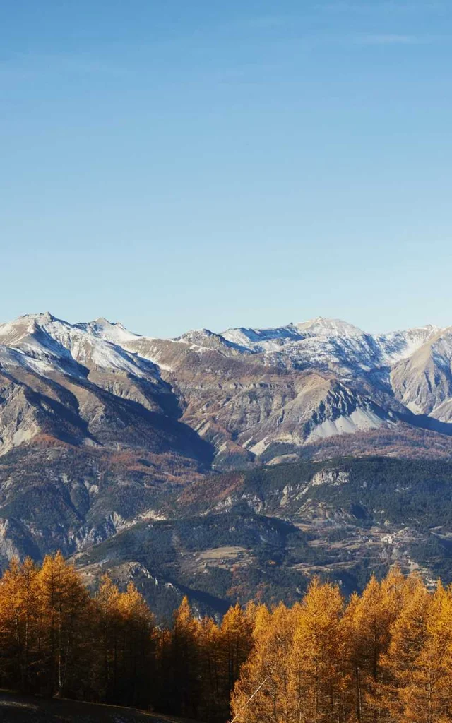 Menton Lafont 1 1