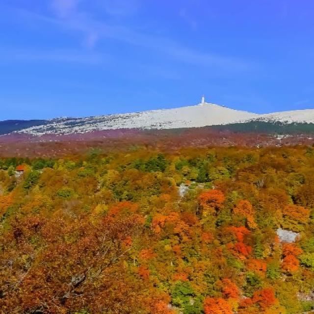 Mont Ventoux A L Automne Copyright Hocquel Alain Vaucluse Provence 16191