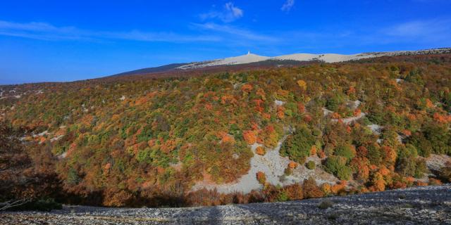 Mont Ventoux A L Automne Copyright Hocquel Alain Vaucluse Provence 16192 1 1