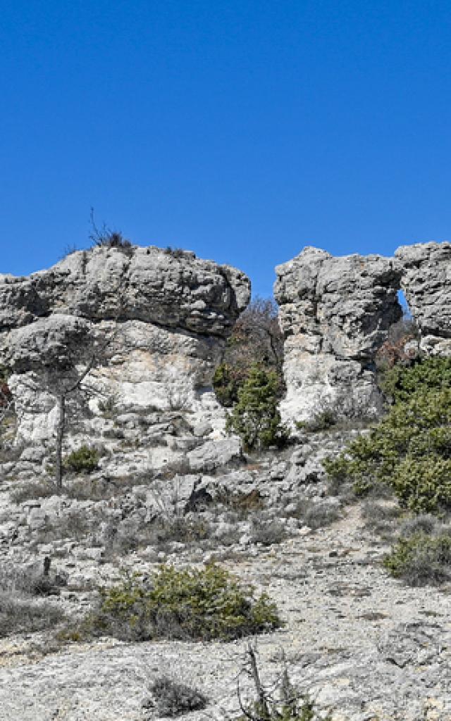 montagne-de-lure-provence-p-magoni.jpg