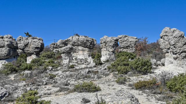 montagne-de-lure-provence-p-magoni.jpg