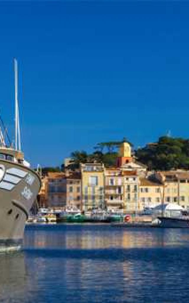 mouton-saint-tropez-paca-1-1.jpg