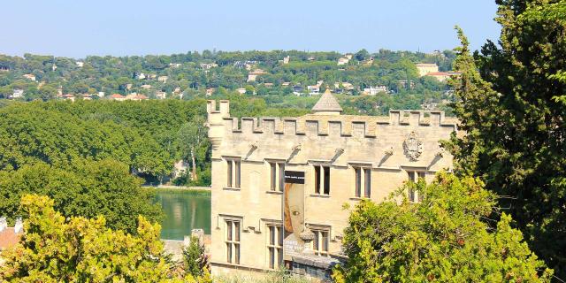 musee-petit-palais-avignon-cchillio-2.jpg