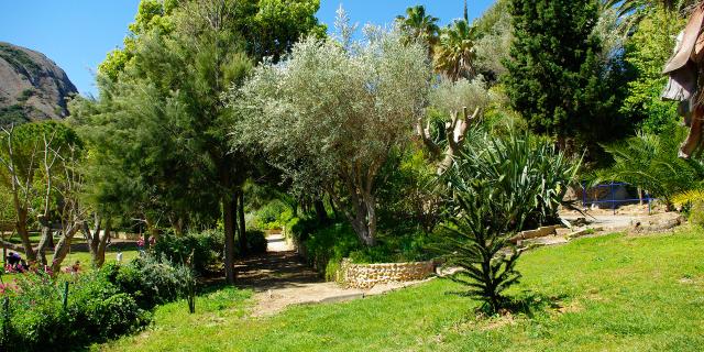 Parc Du Mugel La Ciotat Btriffaux