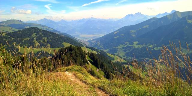 Vje des Préalpes randonnée paysage moyenne montagne / view mountain middle altitude green landscape