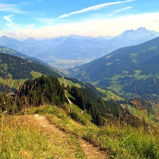 Vje des Préalpes randonnée paysage moyenne montagne / view mountain middle altitude green landscape