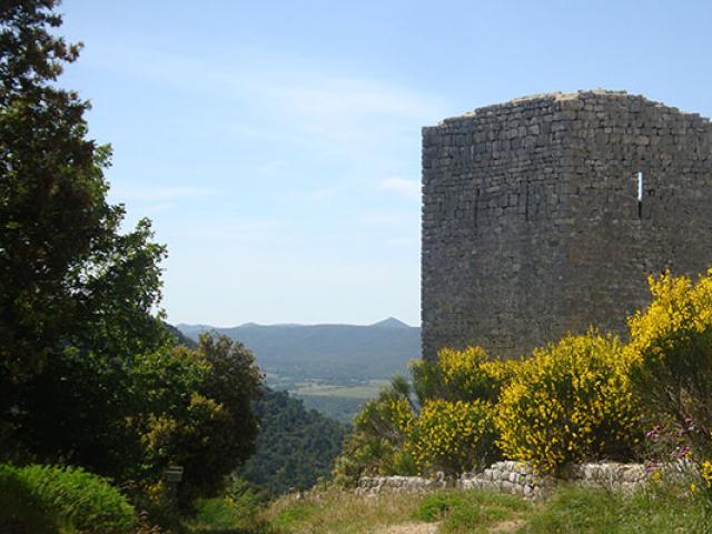 Parc Naturel Regional Sainte Baume Crtsud