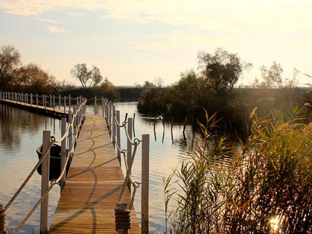 Provence Camargue Cchillio