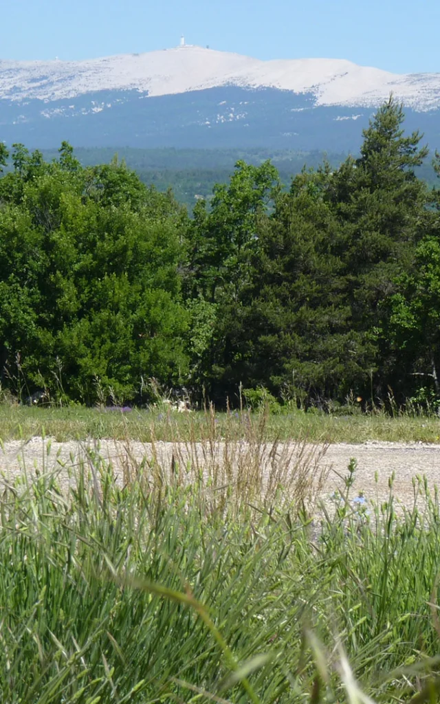 Provence Circuit Ventoux Pchanin