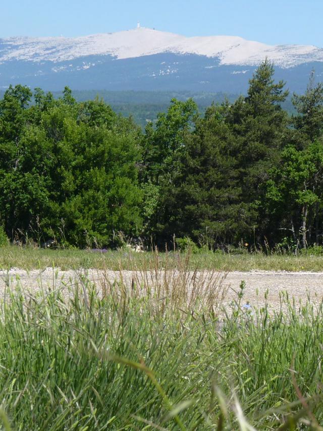 Provence Circuit Ventoux Pchanin