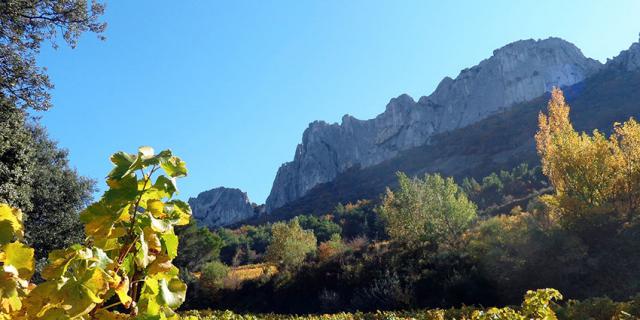 Provence Dentelles Montmirail Vlaurence