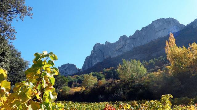 provence-dentelles-montmirail-vlaurence.jpg