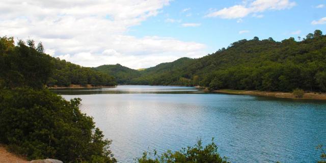 Provence Verte Lac Carces Squal83 1