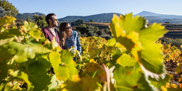 Provence Vigne Tseray