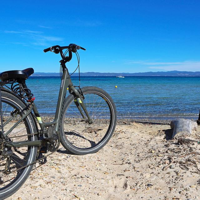 Que Faire Provence Thonnorat