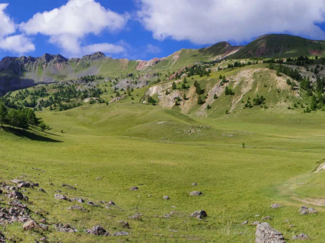 Randonnee Alpes A Mouton