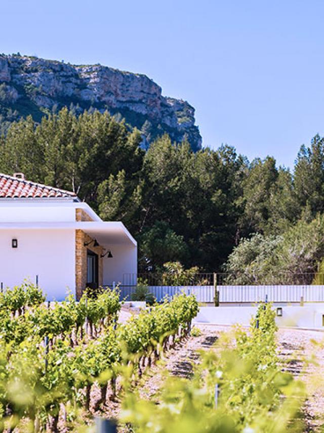 Routedesvins Domaineladonatigana