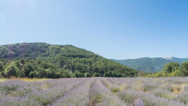 Saint Andre De Rosans Alpes Xmordefroid