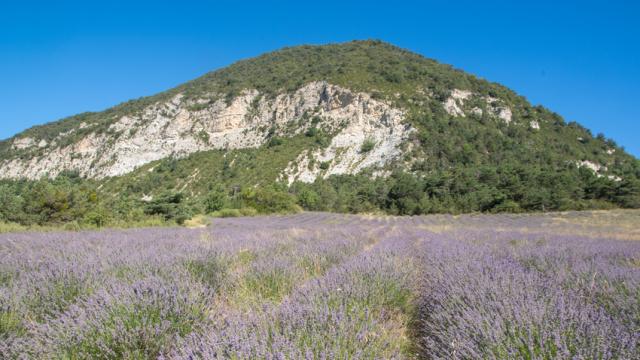 Saint Andre De Rosans Alpes Xmordefroid2