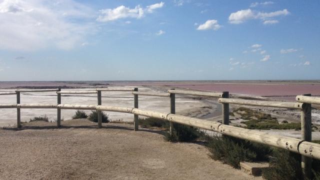 salin-de-giraud-camargue-provence-c-chillio.jpg