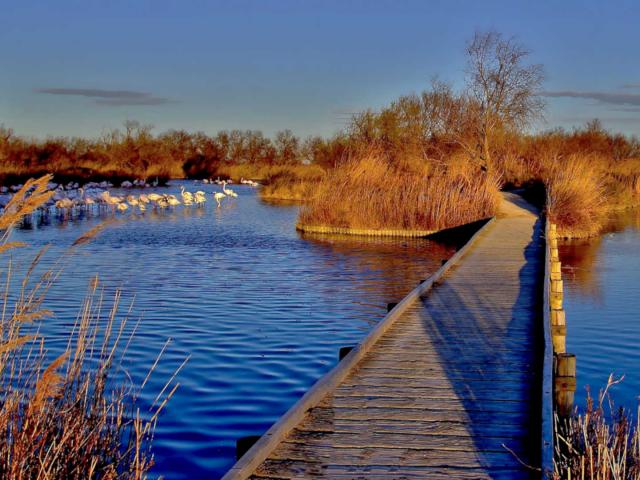 sites-naturels-etangs-camargue-paca-amouton-2.jpg