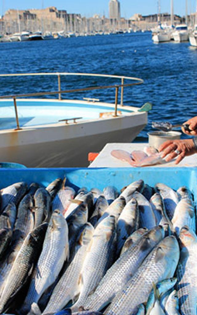 Terroir Marche Poissons Marseille Cchillio