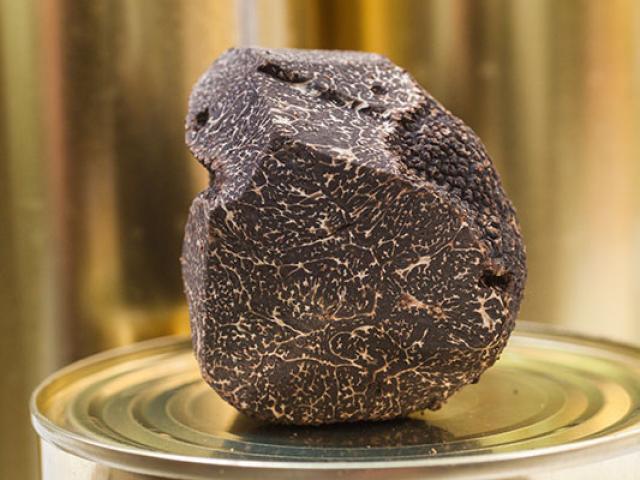 Terroir Truffe Noire Pmarilly