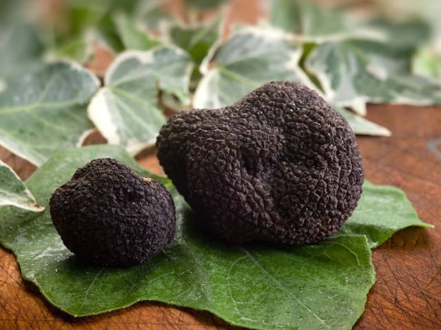 Truffe Noir Perigord Mmeyer F33877355