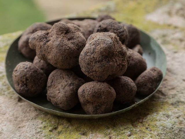 truffes-noires-de-provence-credit-marilly-1.jpg