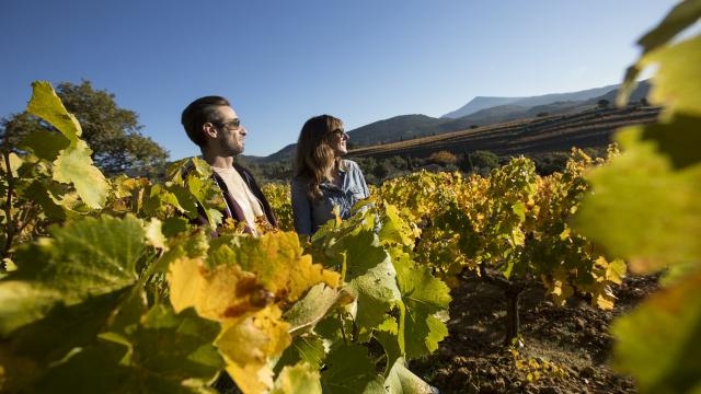 Valle Du Rhône Mont Ventoux