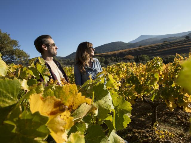 Valle Du Rhône Mont Ventoux