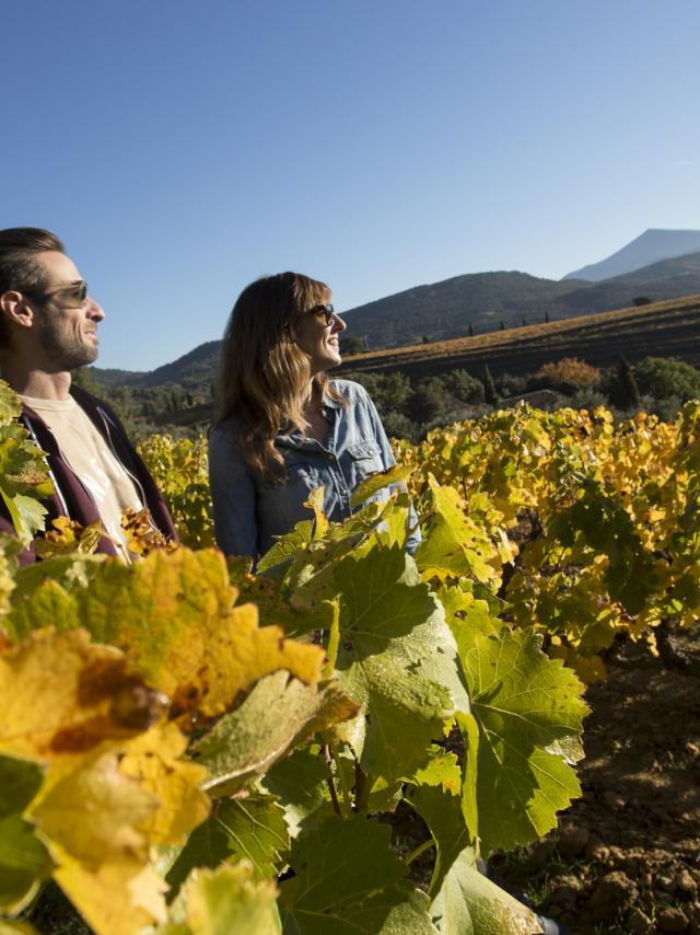 Valle Du Rhône Mont Ventoux