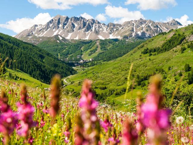 Vallée de Vars