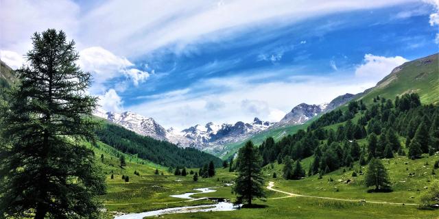 Vallon De Lauzanier