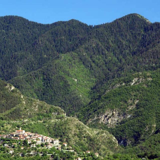 COMMUNE DE LA BOLLENE-VESUBIE UNE VUE GENERALE DU VILLAGE