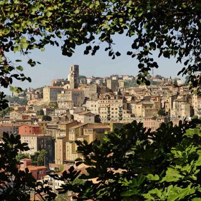 Grasse