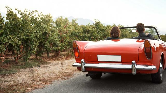 Voiture Vigne I201817998 1