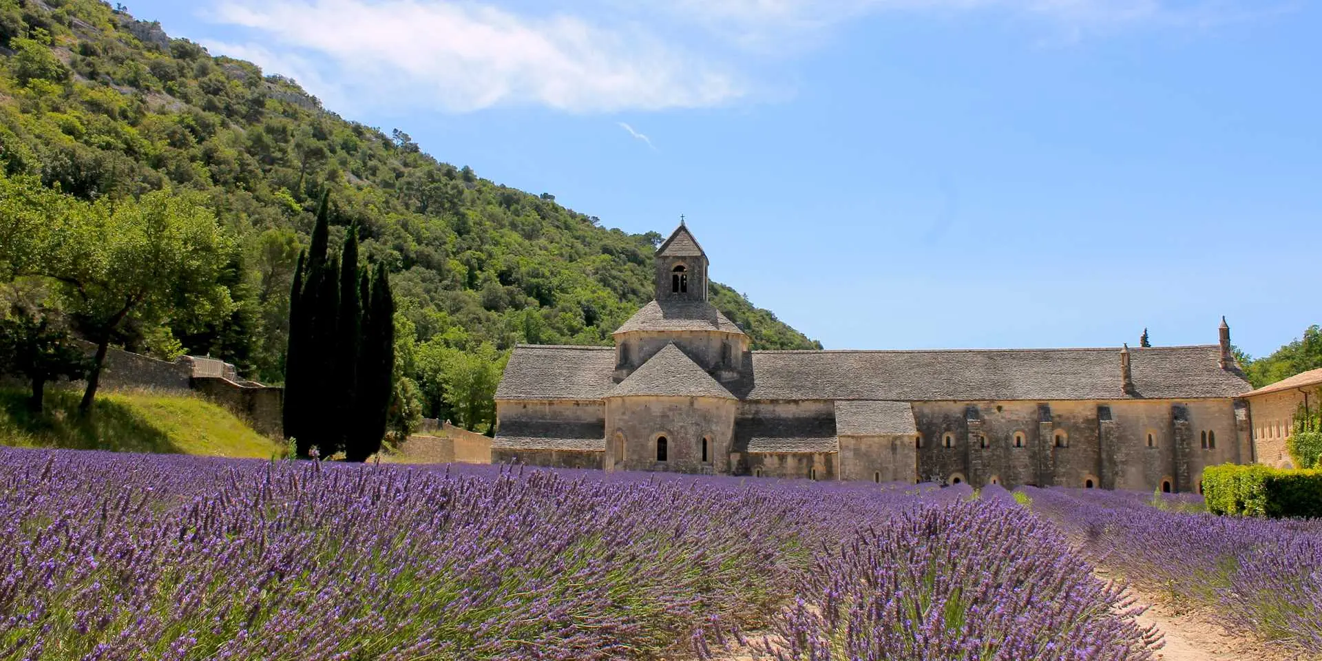 Abbaye de Sénanque et champ de lavande