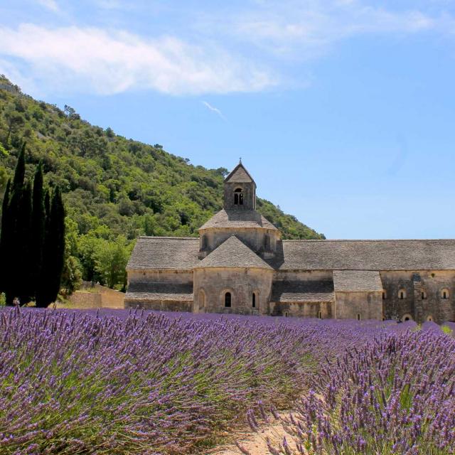 Abbaye De Senanques