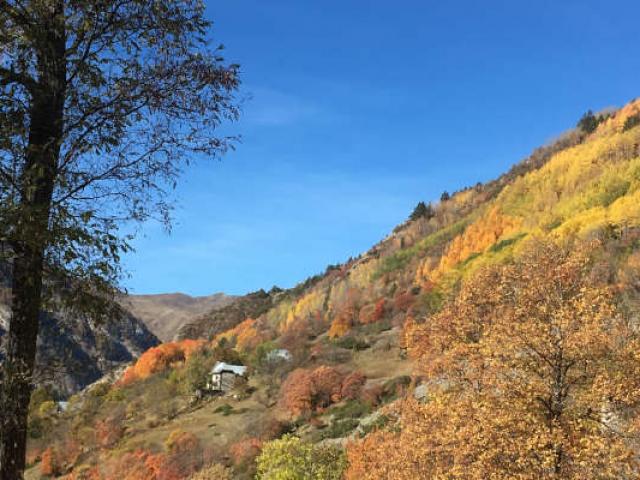 Automne Mercantour Alpes S Dragon