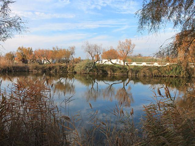 camargue-saintes-maries-de-la-mer-cchillio.jpg