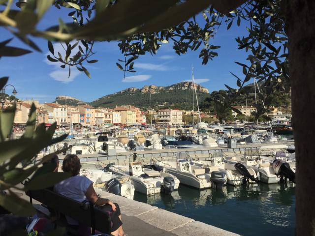 Cassis Credit Di Duca 2