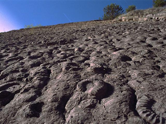 dalle-amonites-balade-provence-pterraz.jpg