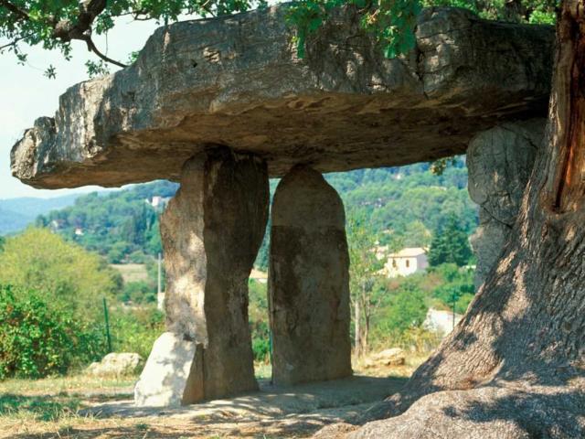 Dracenie Dolmen